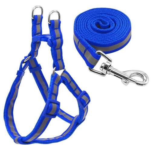 Small to medium-sized dog nylon reflective dog leash set, size: S (blue) 1