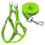 Small to medium-sized dog nylon reflective dog leash set, size: S (green) 1
