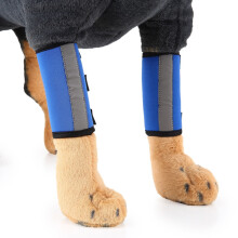 Pet knee brace/protective sleeve for dogs after surgery, size M (blue reflective).