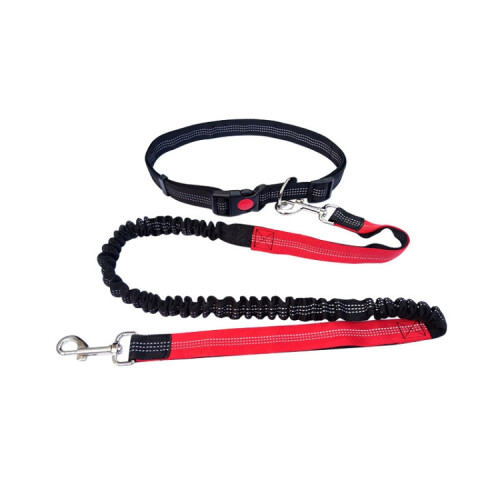 Multi-functional dog leash for running and exercise (black + red)