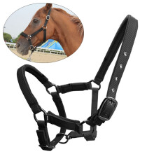 Kit localizador de caballos, dispositivo de rastreo animal antipérdida, collar con posicionamiento GPS.