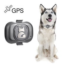 G16 Haustier-GPS-Tracker IP67 wasserdichtes Smart-Halsband mit Anti-Verlust-Funktion für Hunde und Katzen