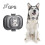 G16 Pets GPS Tracker IP67 Αδιάβροχο Έξυπνο Κολάρο Anti-lost Tracking για Σκύλο και Γάτα 1