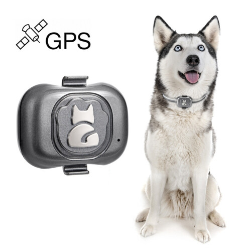 G16 Pets GPS Tracker IP67 Αδιάβροχο Έξυπνο Κολάρο Anti-lost Tracking για Σκύλο και Γάτα