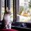 Acrylic Bird Cage Transparent Pet Box Triangle Bird Feeder 3