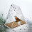 Acrylic Bird Cage Transparent Pet Box Triangle Bird Feeder 4