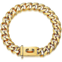 Gold Dog Chain Collar Metal Chain Collar with Design Secure Buckle, 18k Mia
