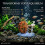 Dynamic aquarium air circulators, aerators, dynamic aerators, underwater oxygenation accessories, and aquarium landscaping. 4
