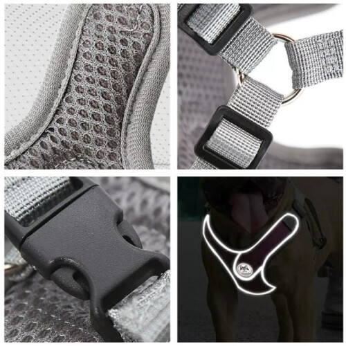 Pet Harness - Not specified - S - Adjustable - Reflective - Soft and Breathable 2