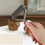 Dog brush and cat brush, undercoat trimmer, undercoat brush 4