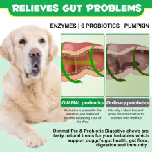 Minxie Probiotics for Dogs - Gut & Digestive Health - Dog Probiotics and Digestive Enzymes for Small, Medium and Large Dogs - 120 Chews, Duck Flavor