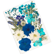 Dried Plant Supplies For Handcrafted Decors Jewelry Making-Blue