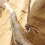 Natural Driftwood Wall Decorations with Hook Each one is different Hanging Real Wood Wall Organizer 3