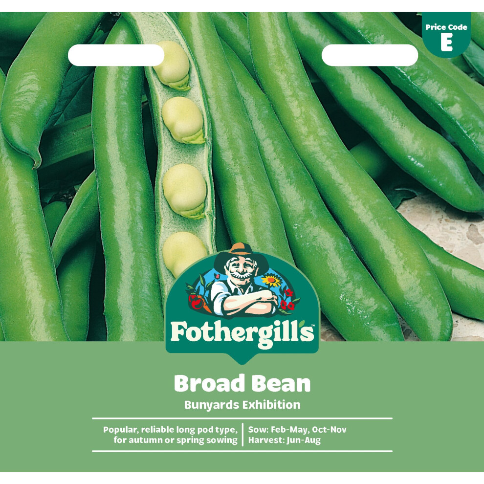 Mr Fothergill's Fothergill's Broad Bean Bunyards Exhibition, Vegetable Seeds, 45 Seeds, Sow: Feb-May, Oct-Nov, Green