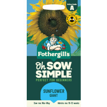 Fothergill's Oh Sow Simple, Sunflower Giant Flower Seeds, Sow: Mar-May, Yellow