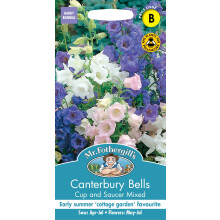 Mr Fothergill's Seeds Ltd Canterbury Bells Cup & Saucer Mixed