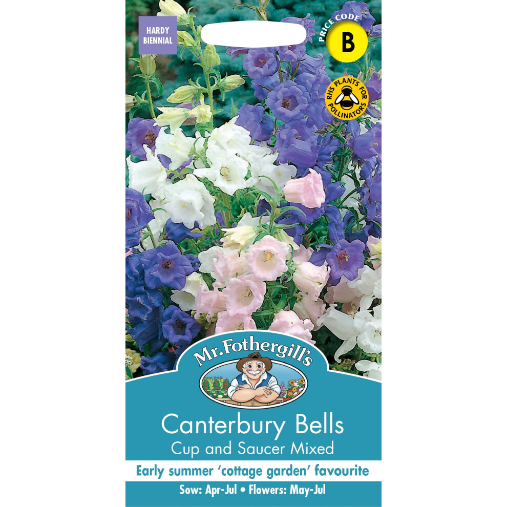 Mr Fothergill's Seeds Ltd Canterbury Bells Cup & Saucer Mixed