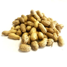Peanuts in Shells 1kg Premium Safe Wild Bird Food Monkey Nuts
