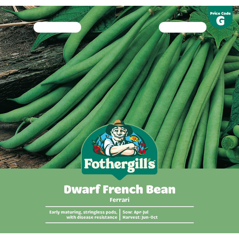 Mr Fothergill's Fothergill's Dwarf French Bean Ferrari, Vegetable Seeds, 100 Seeds, Sow: Apr-Jul, Green
