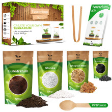 PYEF CRAFTS DIY Terrarium Kit for Plants – Starter Set for Garden in Bottle – Self‑Sustaining Ecosystem – Supplies for Succulents, Air Plants,