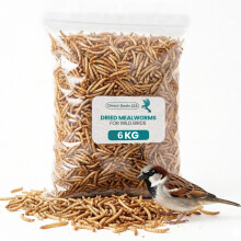 Premium Mealworms Wild Bird Food, Protein Food for All Species,