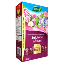 Westland Sulphate of Iron (Plant Food for Ericaceous Plants), 1.5 kg
