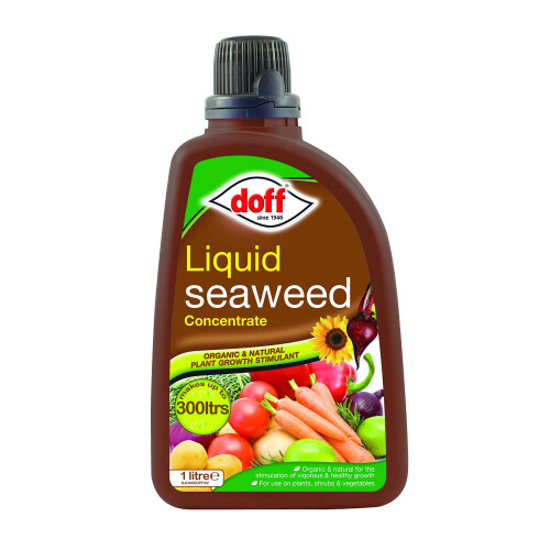 Doff doff CONCENTRATED LIQUID SEAWEED 1L, Green