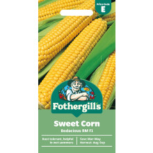 Fothergill's Sweet Corn Bodacious RM F1, Vegetable Seeds, 25 Seeds, Sow: Mar-May, Yellow