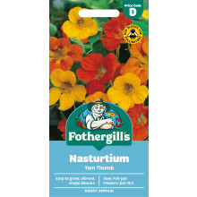 Fothergill's Nasturtium Tom Thumb Flower Seeds, 35 Seeds, Sow: Feb-Jun, Orange/Red