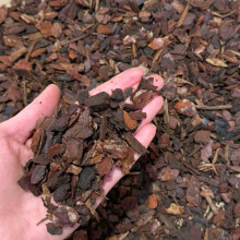 Orchid Bark - Natural Bark Chips for Reptiles, Vivariums, Terrariums & Orchid Potting (2L)