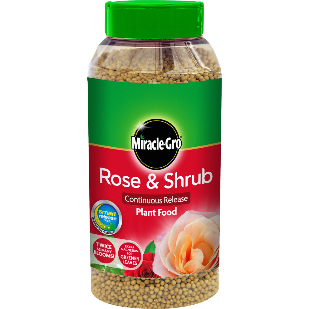 Miracle-Gro Rose & Shrub Continuous Release Plant Food 1
