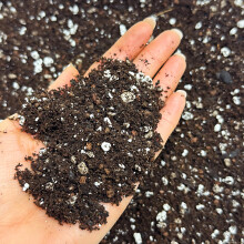 Bonsai Mix Organic with Mycorrhizal Fungi – Premium Potting Blend with Perlite,