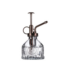 Eidoct Glass Plant Mister Spray Bottle, 6.5" Gray Glass Water Spray Bottle with Bronze Top Pump Small Watering Can, Small Plant Sp