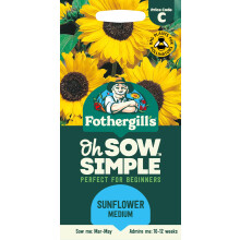 Fothergill's Oh Sow Simple, Sunflower Medium Flower Seeds, Sow: Mar-May, Yellow