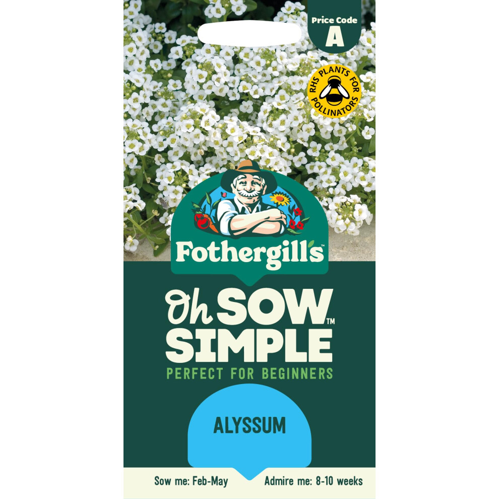 Mr Fothergill's Fothergill's Oh Sow Simple, Alyssum Flower Seeds, Sow: Feb-Apr, White