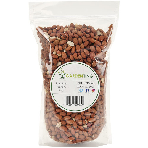 Premium Peanuts for Wild Bird