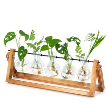 XXXFLOWER Desktop Propagation Station Propagators for Plants Cuttings Glass Plant Bulb Vase with Wooden Stand Glass Plant Pot and Metal Swivel Holder