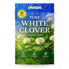 Grassias White Clover Lawn Seed – Small Leaf Micro Clover Ground Cover – Bee Friendly, Drought Resistant, Low Maintenance