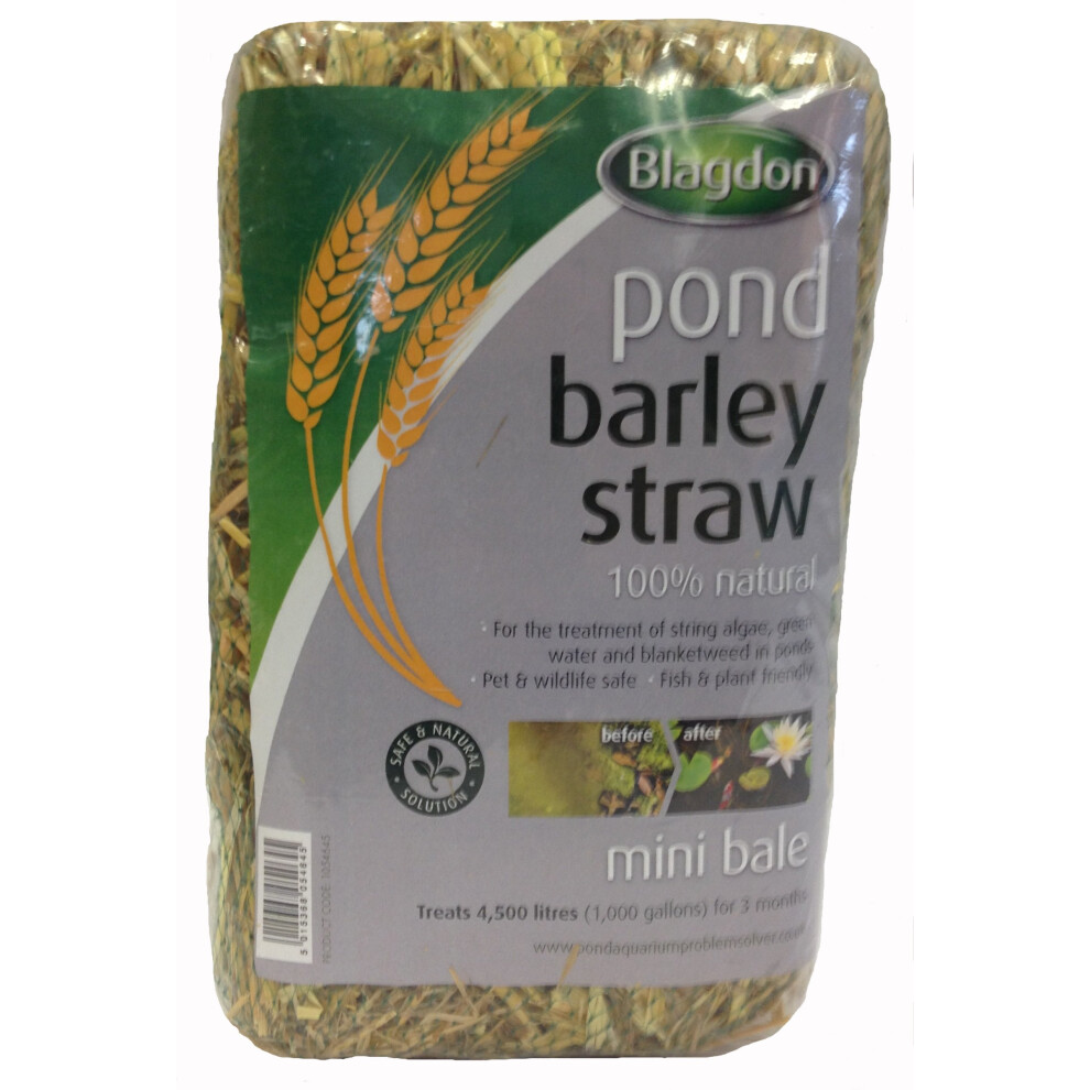 Blagdon Pond Barley Straw Bale, Small, Clears Algae, Water And Green