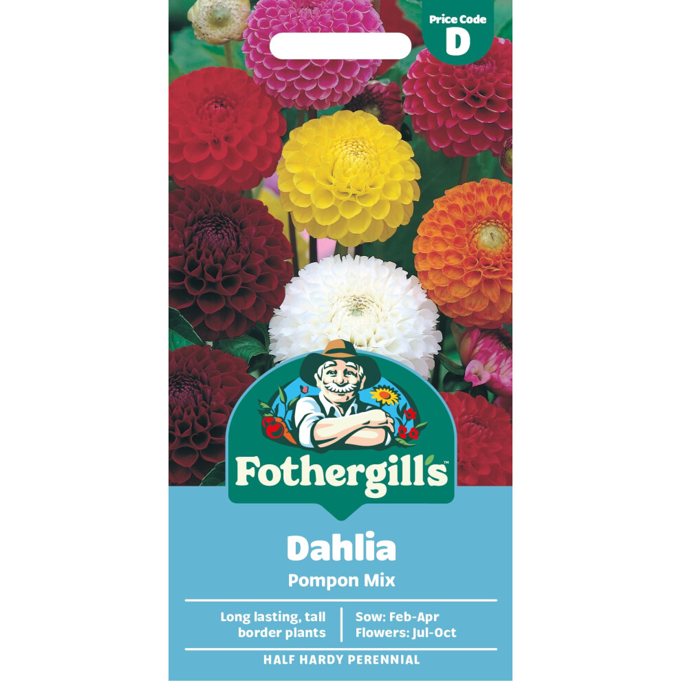 Mr Fothergill's Fothergill's Dahlia Pompon Mixed Flower Seeds, 50 Seeds, Sow: Feb-Apr