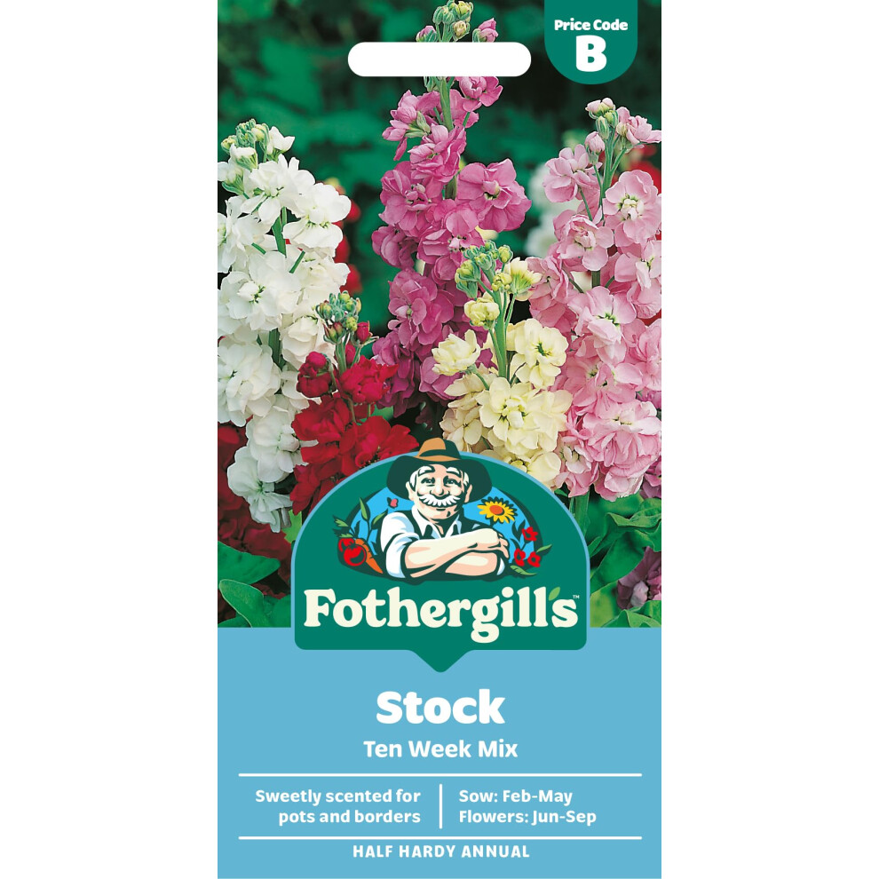 Mr Fothergill's Fothergill's Stock Ten Week Mixed Flower Seeds, 250 Seeds, Sow: Feb-May