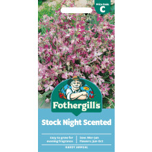 Fothergill's Stock Night Scented Flower Seeds, 1500 Seeds, Sow: Mar-Jun, Purple