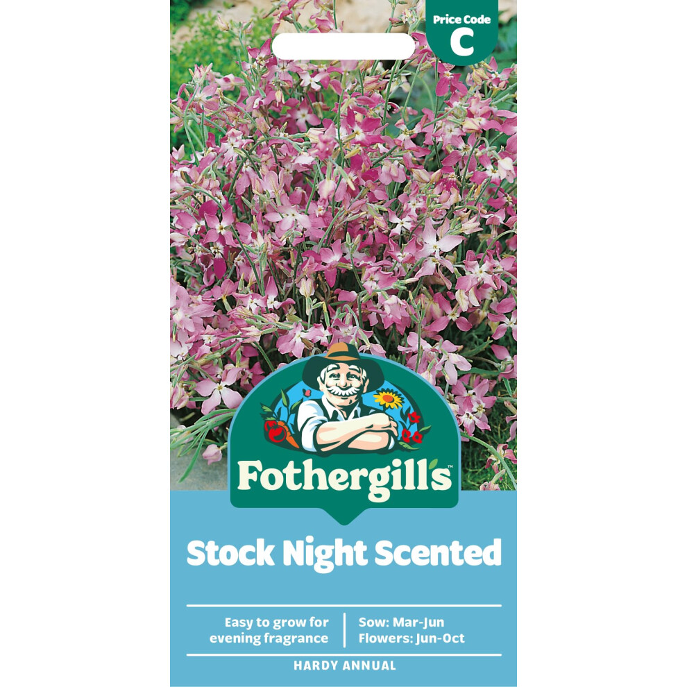 Mr Fothergill's Fothergill's Stock Night Scented Flower Seeds, 1500 Seeds, Sow: Mar-Jun, Purple