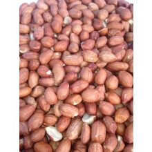 5KG PEANUTS Basic No Frills Peanuts for Feeding Wildlife & Garden Birds