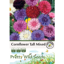 Cornflower Tall Mixed Seeds in Pictorial Packet - 5g Approx. 1000 Seeds
