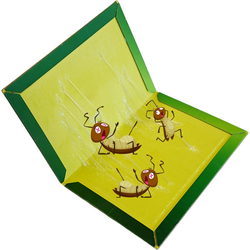 Ram 6 Pack Pest Insect Trap Board Strong Heavy Duty Sticky Trap Ram Online