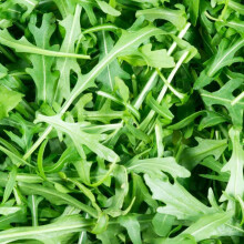 Wild Rocket Seeds - 500 Fresh Rocket Seeds - Plant and Grow Your Own Vegetables Ideal for Greenhouse, Garden, Polytunnel, Large Pots or Containers –