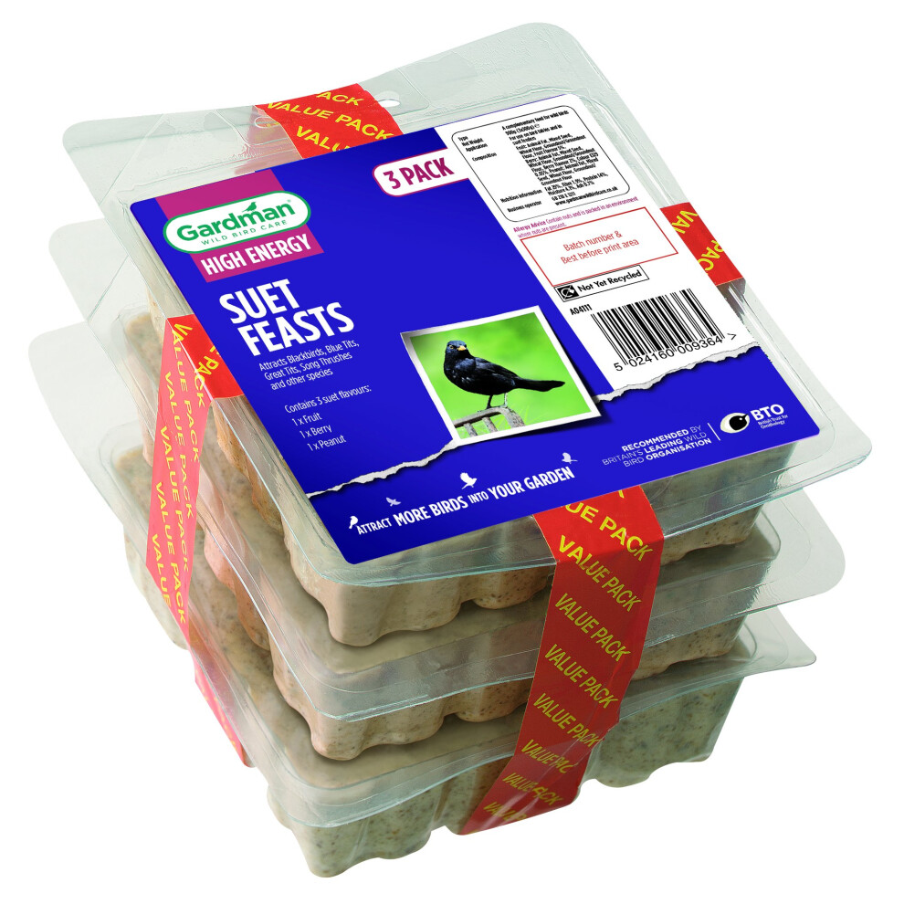 Gardman Suet Feast Blocks For Wild Birds, Pack Of