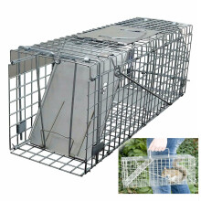 One-Door Live Animal Traps Cage for Rabbit, Squirrel, Possum, Skunk,