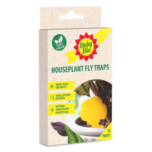 Baby Bio Fungus Gnat Sticky Traps for Houseplants – Yellow Sticky Traps for Flies, Aphids & Leaf Miners – Pesticide Free, Child &